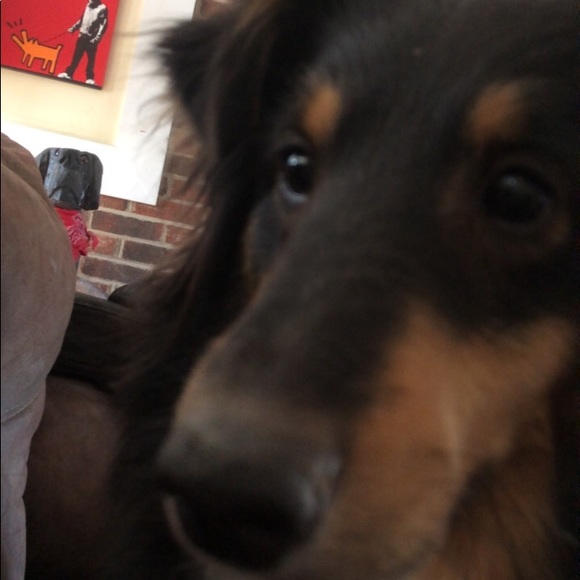 Meet your Posher, Sarah - Picture 1 of 1